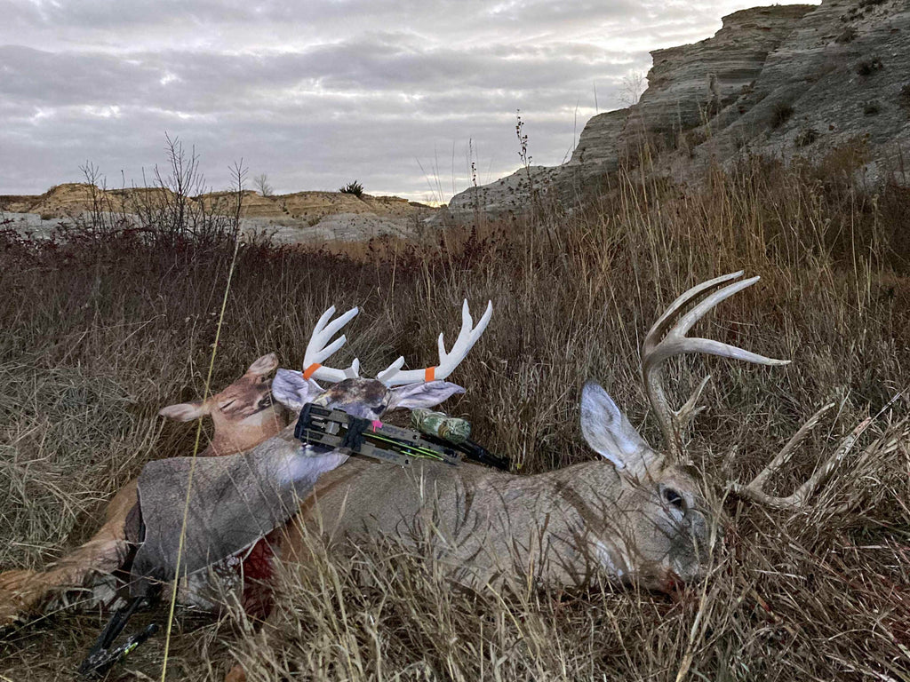 Big Whitetail Buck from the Ground | Heads Up Decoy