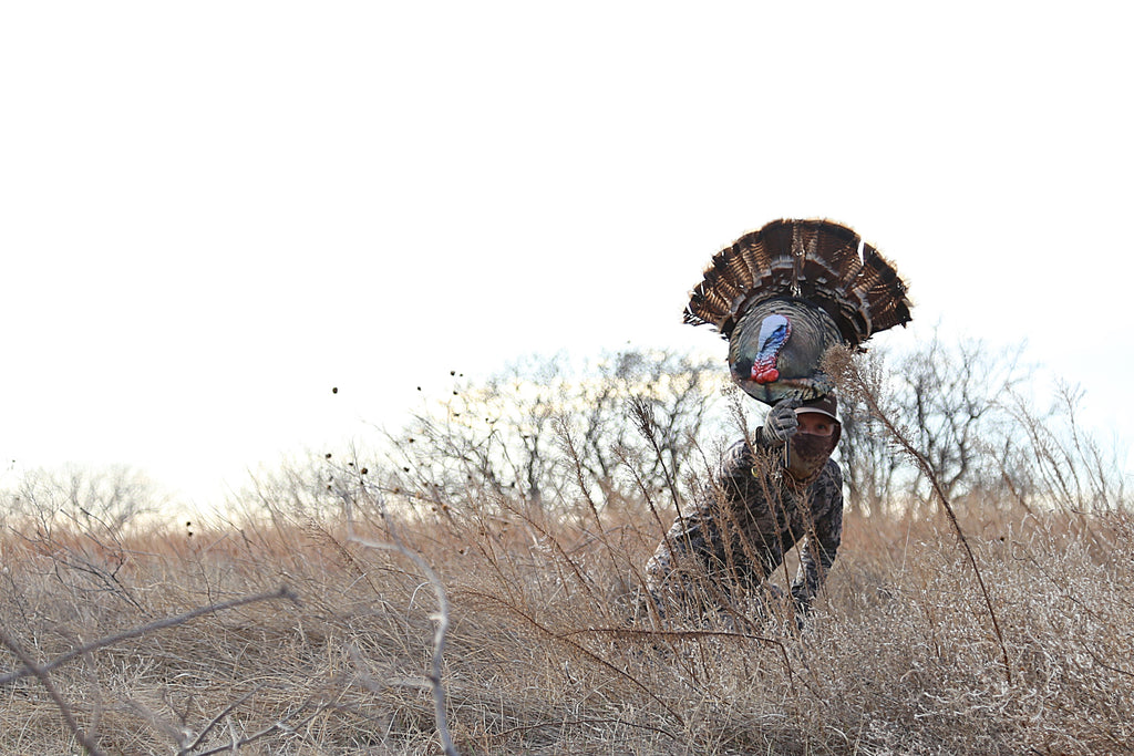 Fanning Turkeys: Getting Started