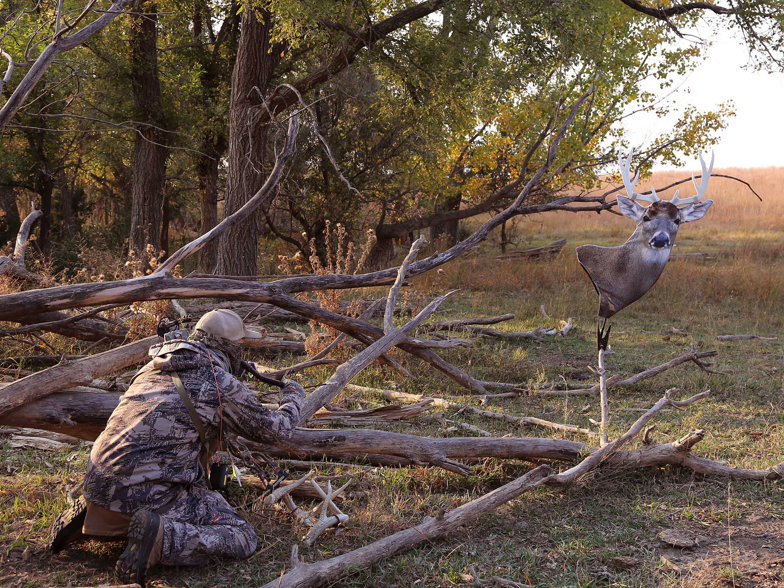 Bow Hunting Decoys