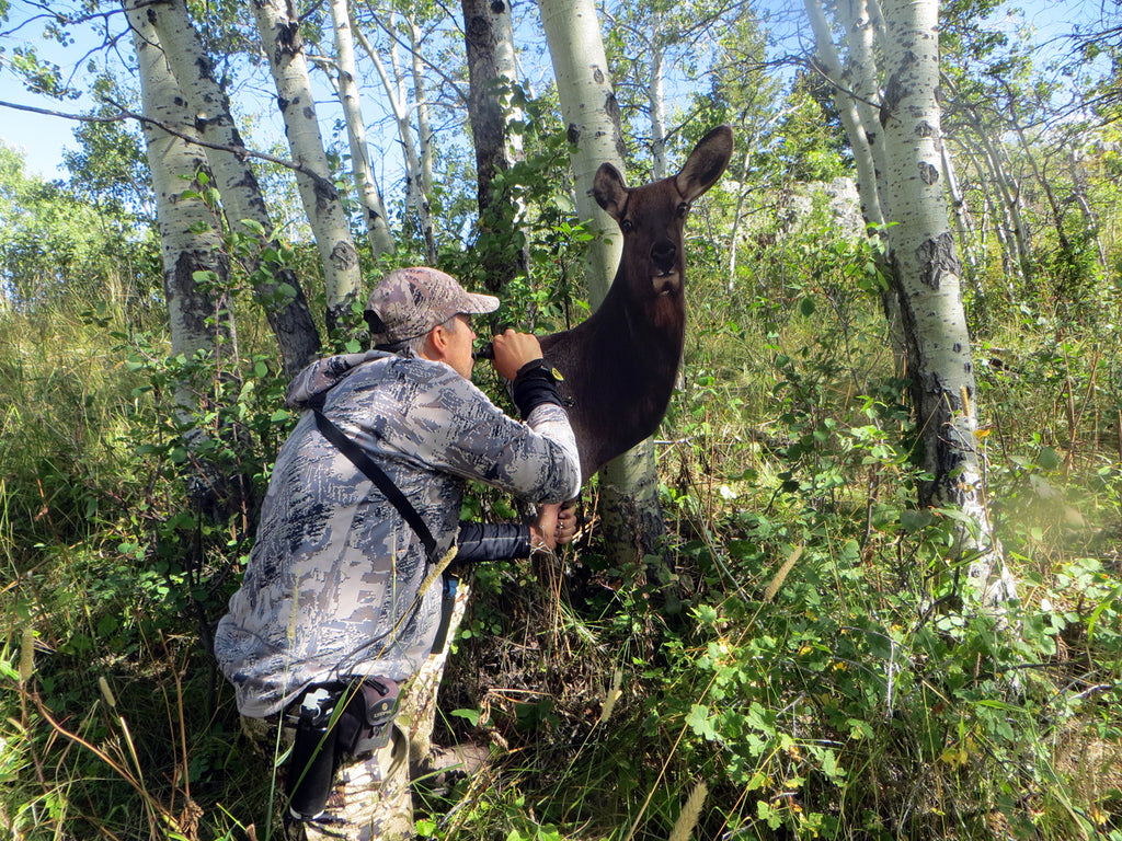 Cow Elk Decoy Heads Up Decoy