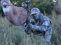 bow mounted whitetail deer decoys