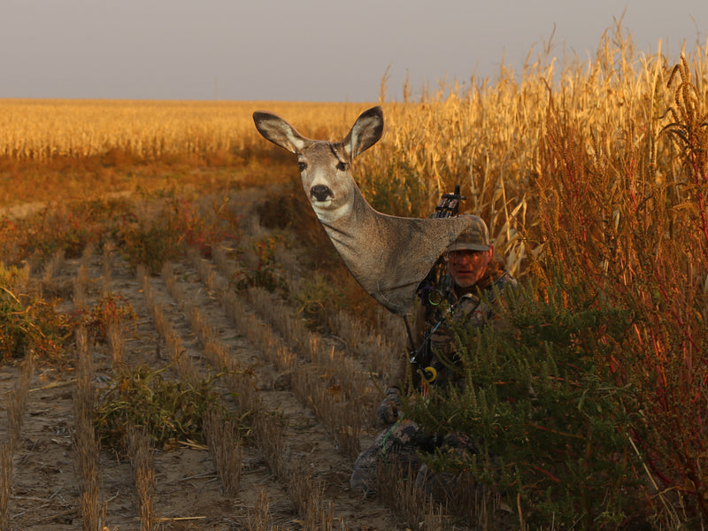 Heads Up Decoy Mule Deer Doe for bow hunting spot and stalk mule deer