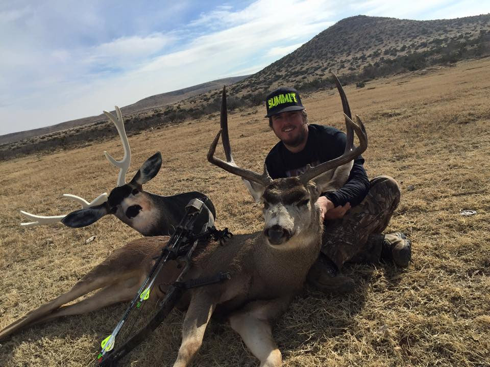 Desert Mule Deer Hunting with Heads Up Decoy