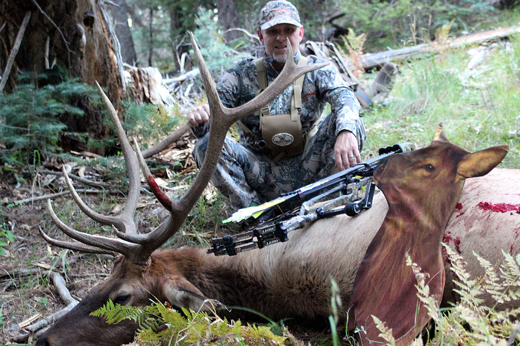 Bowhunting Elk : A Numbers Game