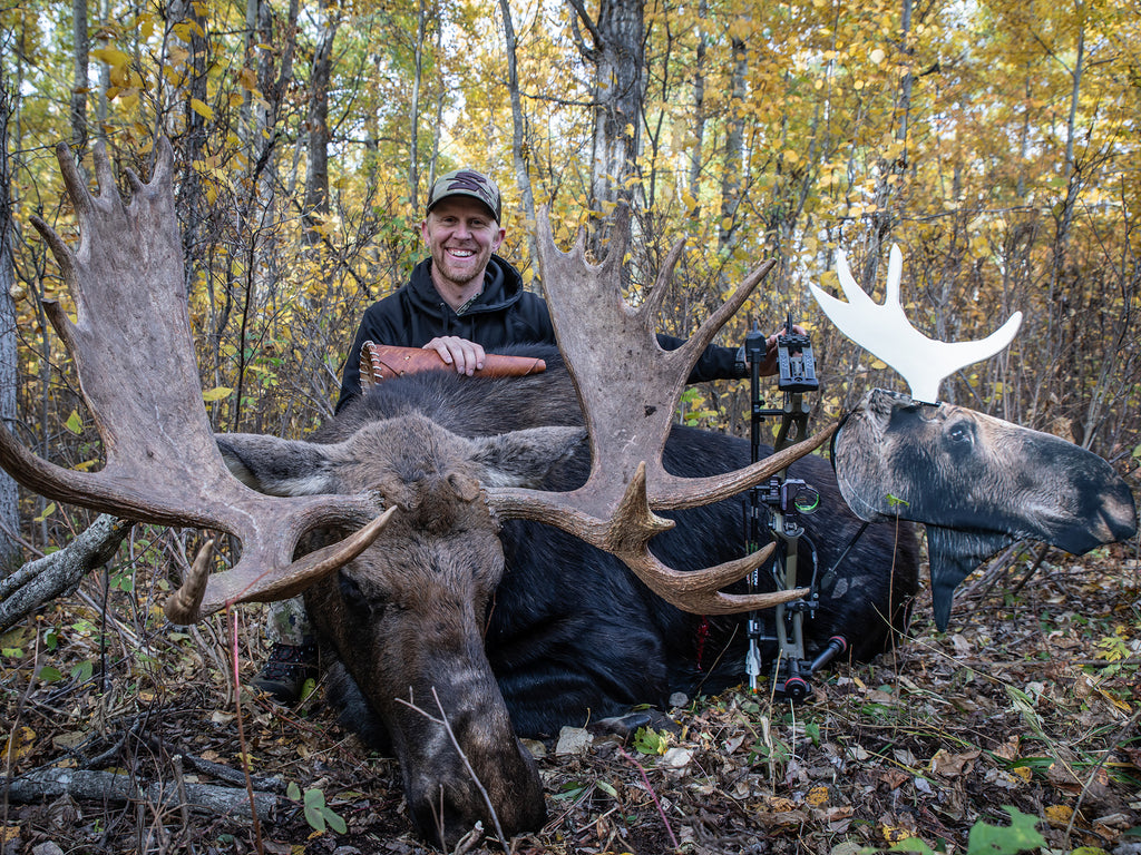 Heads Up Decoy | Alberta Moose Hunt