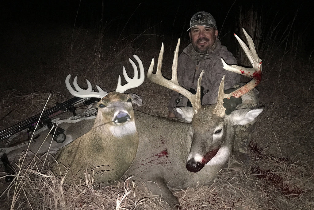 Kansas Public Land Whitetail Buck | Rally Dip with Heads Up Decoy