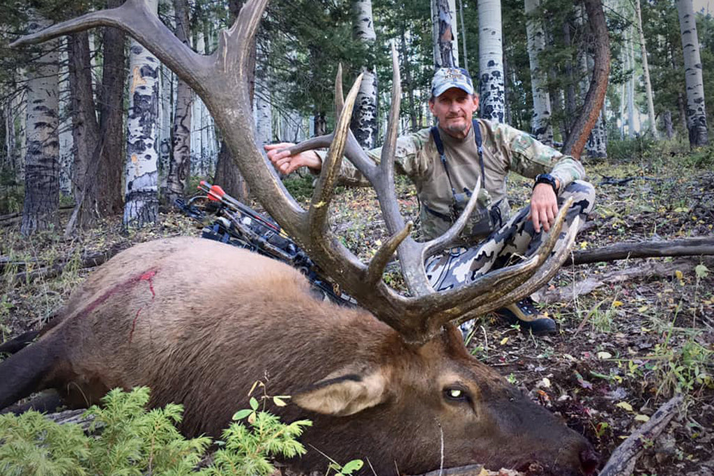 Elk Hunting Tip | Bowhunting Herd Bulls