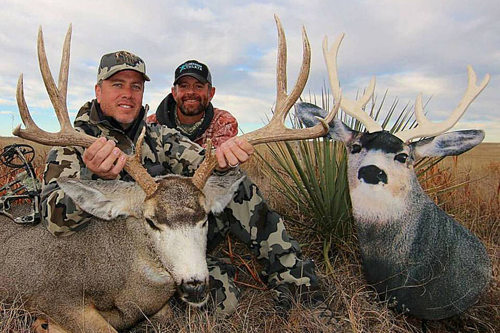 Big Mule Deer Bucks : Tips for Decoying Mature Mule Deer Bucks with Heads Up Decoy