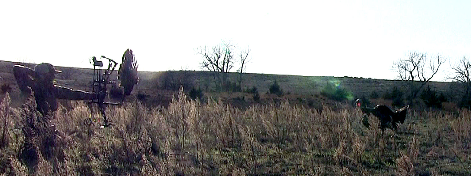 bow mounted turkey decoy