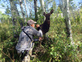 Heads Up Decoy Cow Elk Hunting Decoy. Mobile, packable, realistic and easy to use.