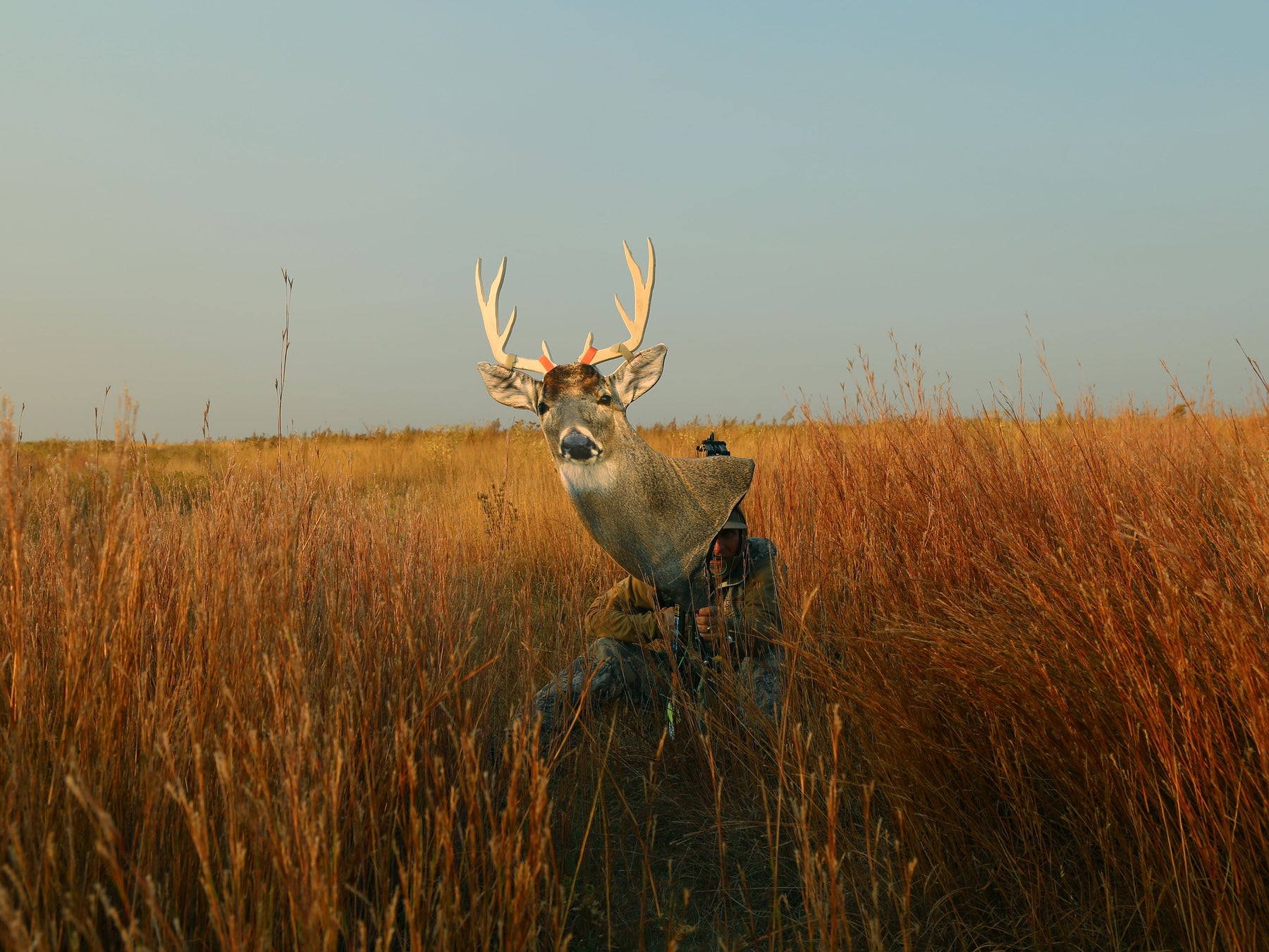 Whitetail Buck Silhouette