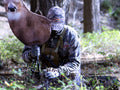 Hunting rutting whitetail deer with a decoy